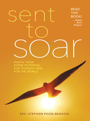 cover image of Sent to Soar
